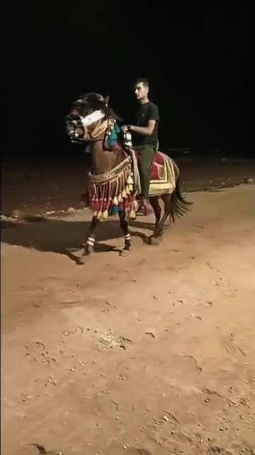 @صالح الدرسي