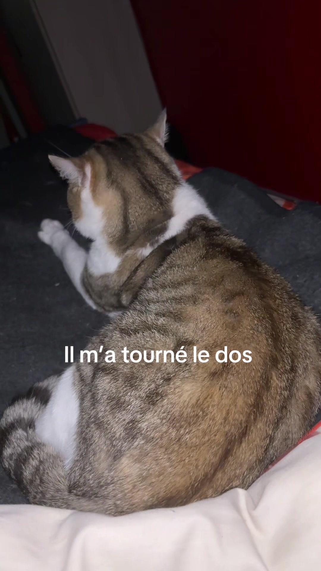 @Chatchientok