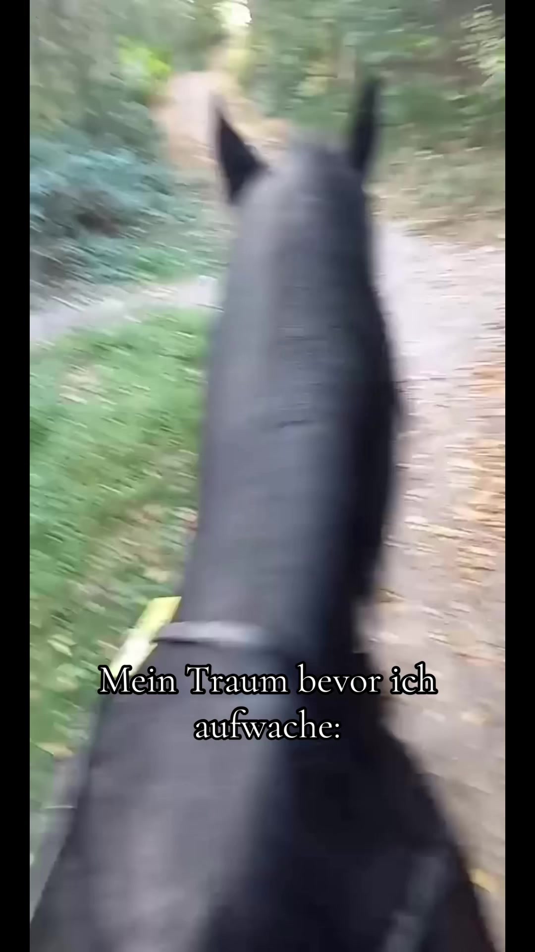 @Die mit der GPZ