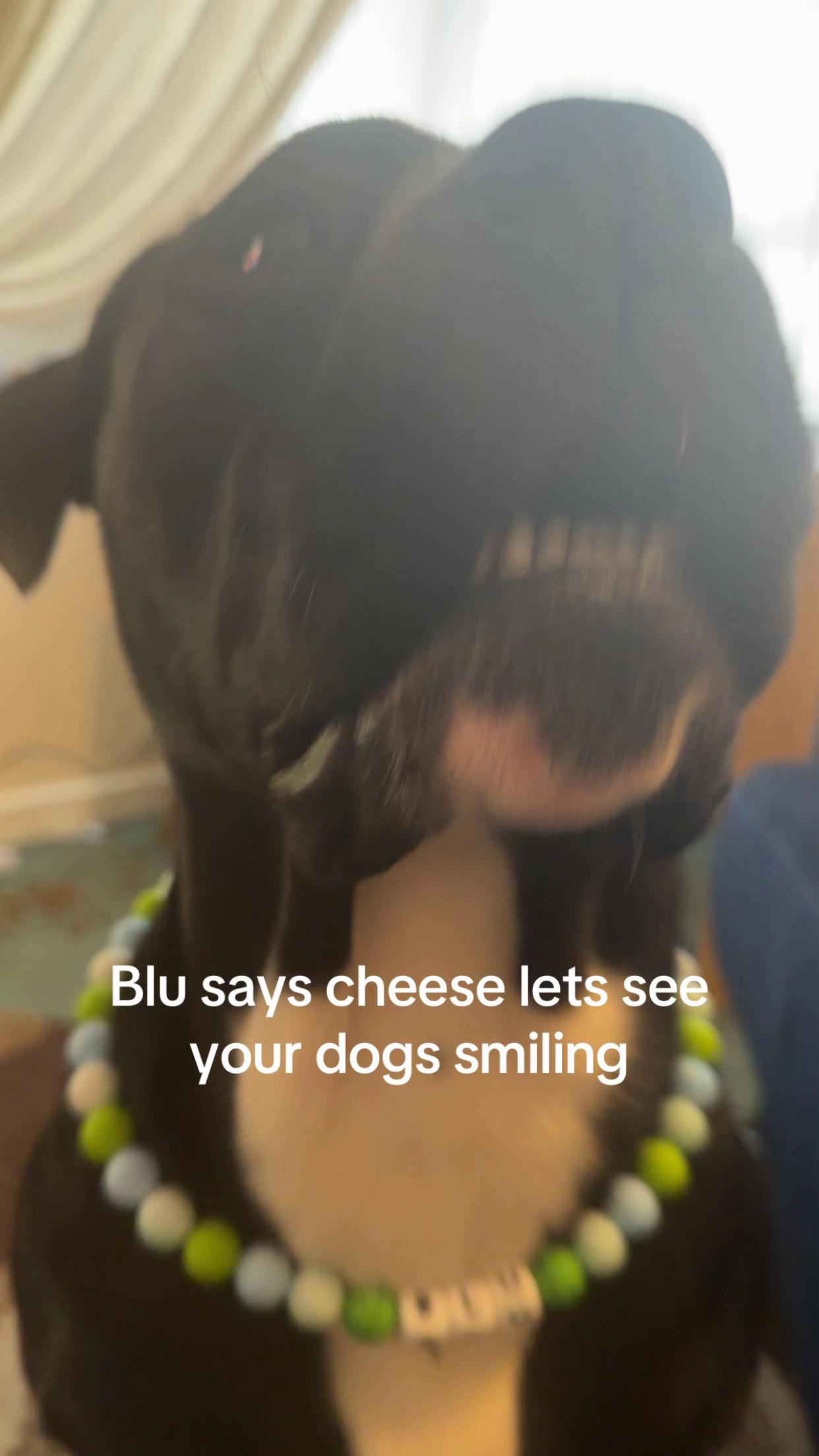 @Jd,Blu,Dior