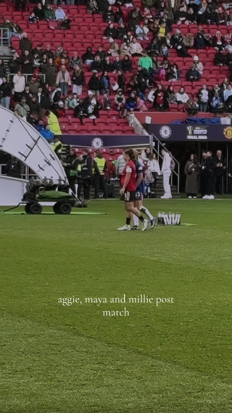 @lionesses_xoxo