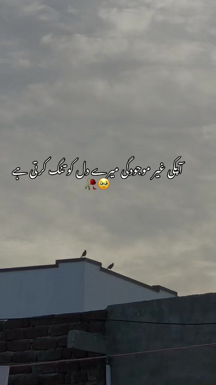 @Dr شیبی 🧑&zwj;⚕️🩺