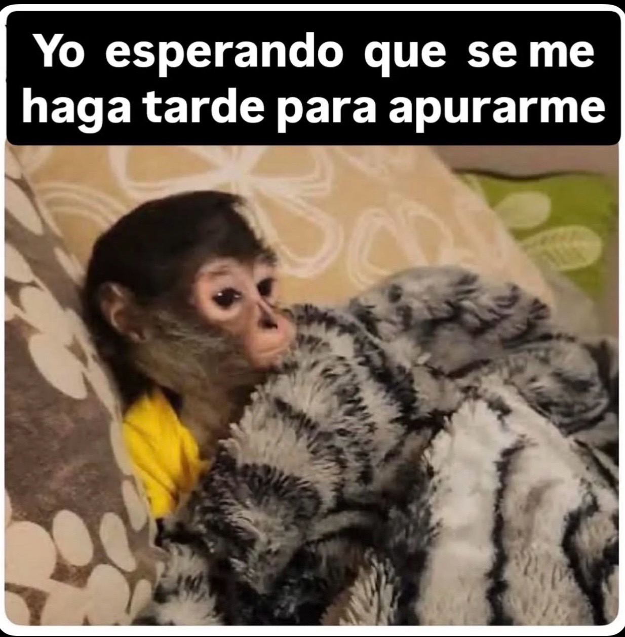 @tellebarajas