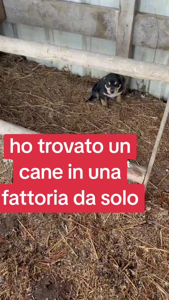 @Francesco Fotia
