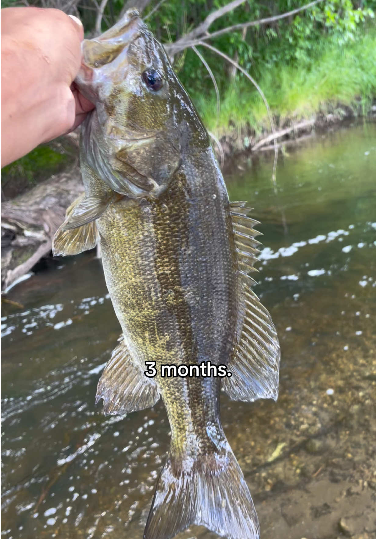 @218 fishing