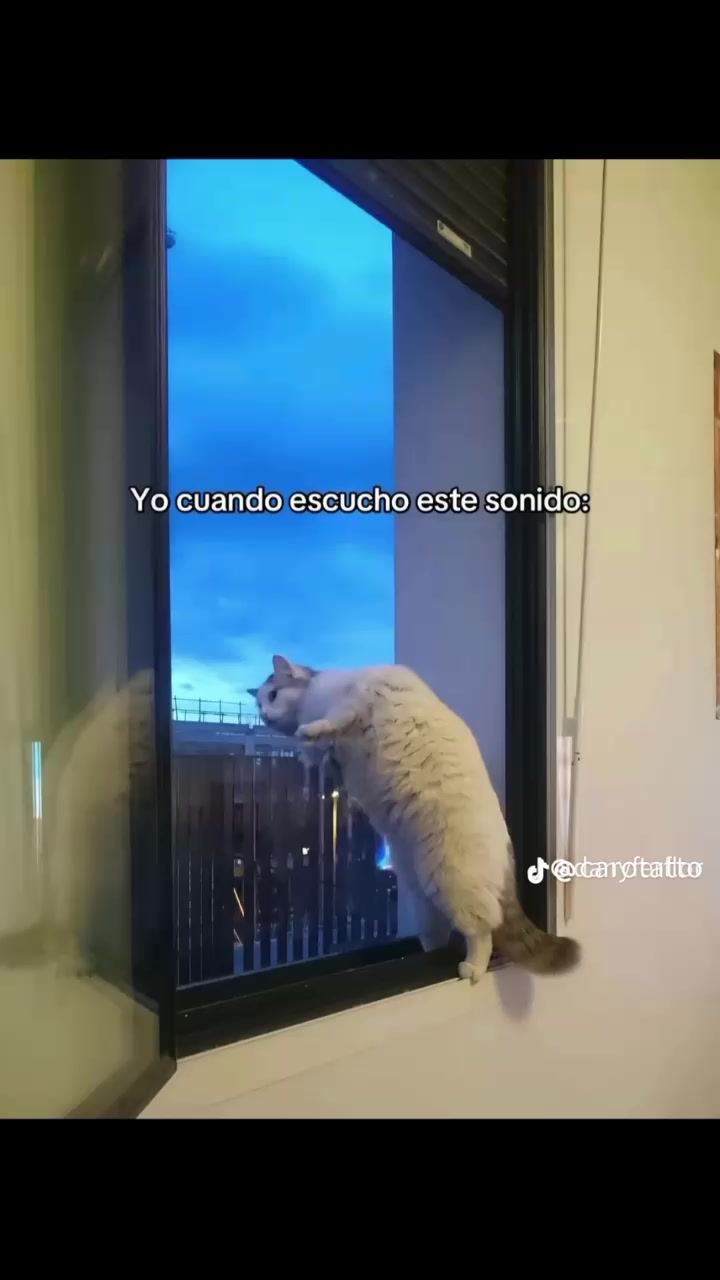 @cristian.rodriguez.83