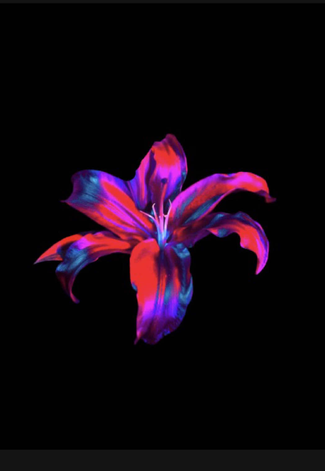 @☾