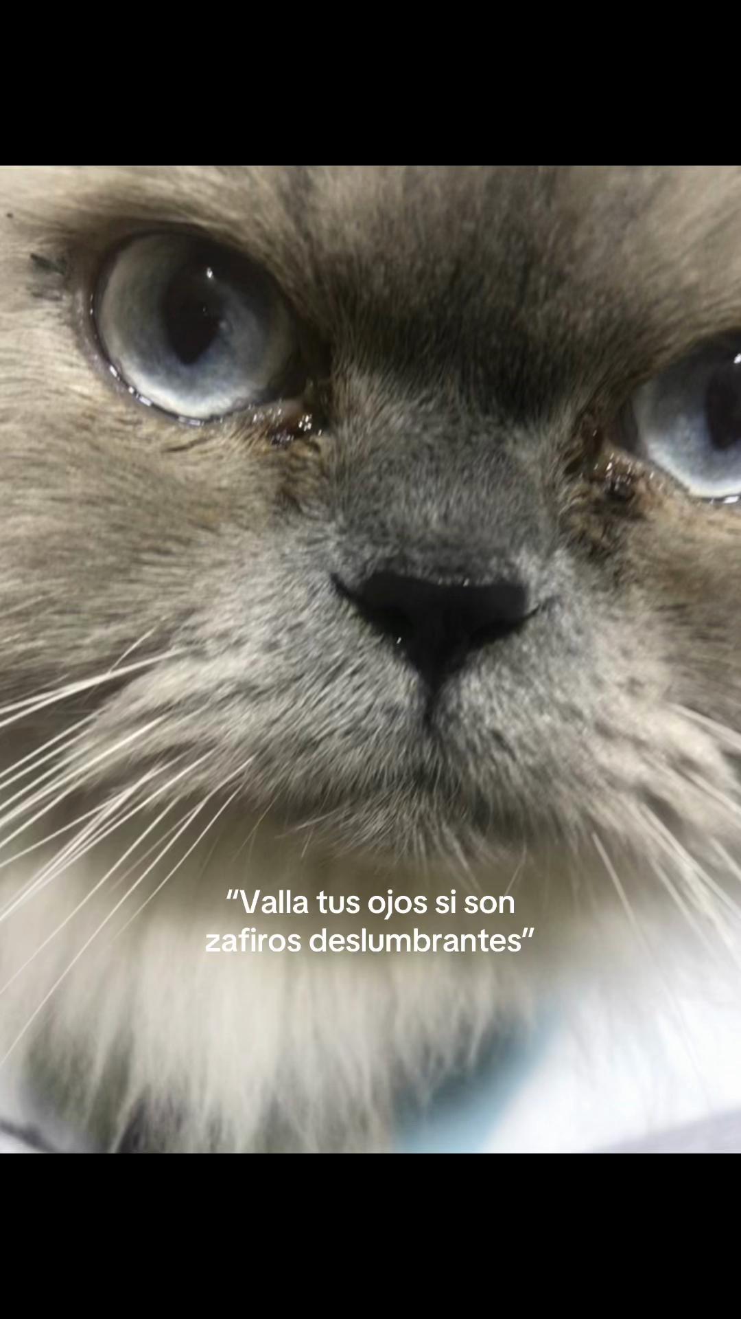 @⸎ɪsᴀᴀᴀ⁴⁴⁴☥♧