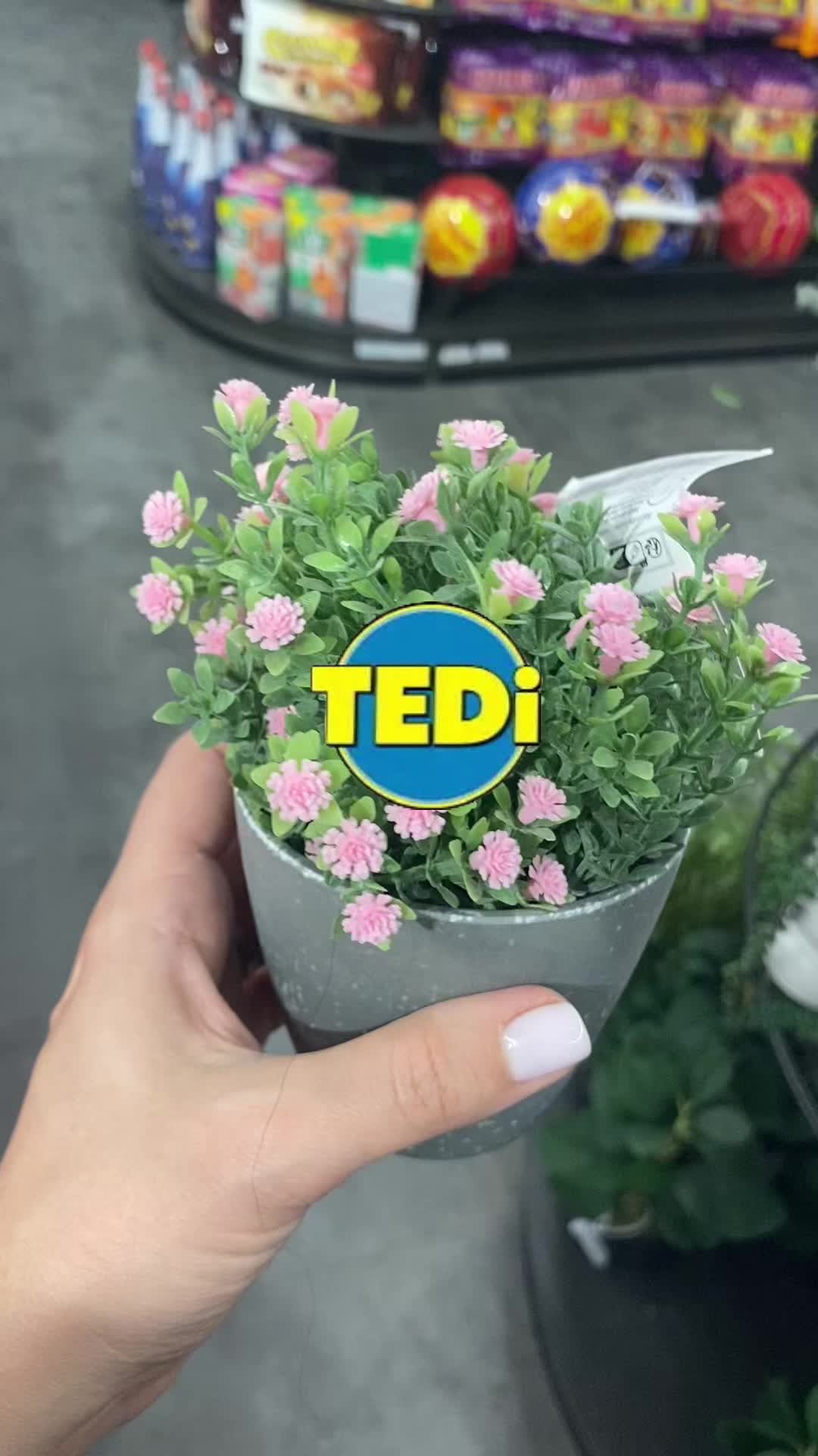 @Budget Shopping Finds