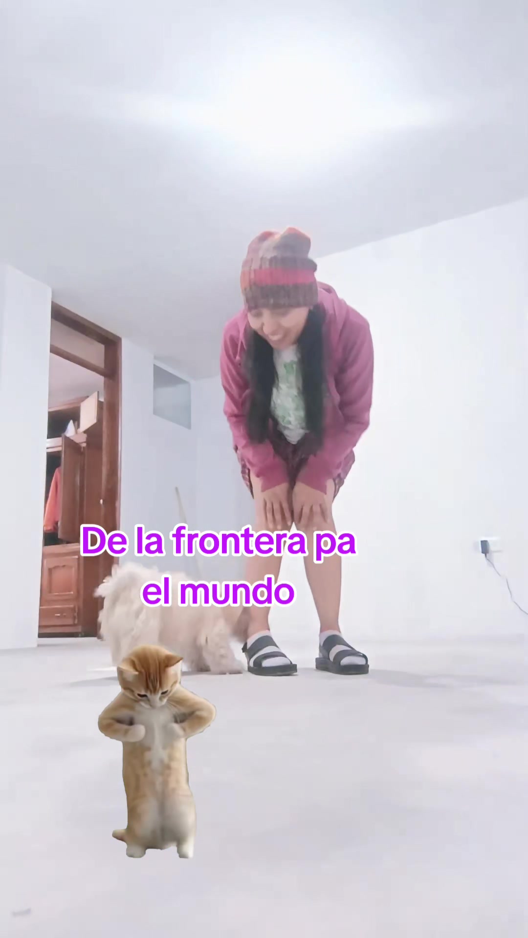 @Cecilia Pilatasig