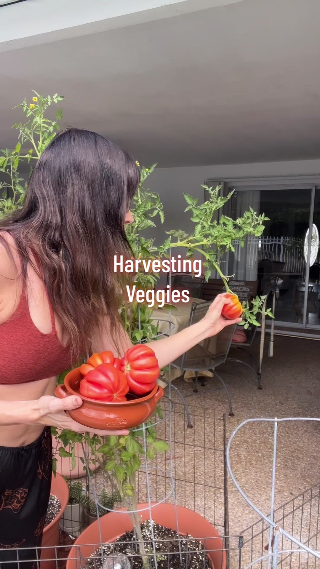 @mary_ketchup
