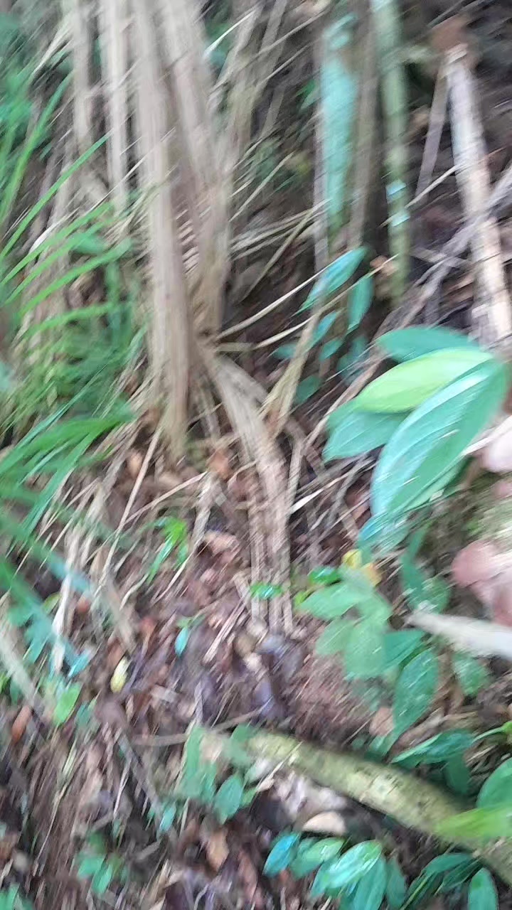 @Reginaldo dos santos pereira
