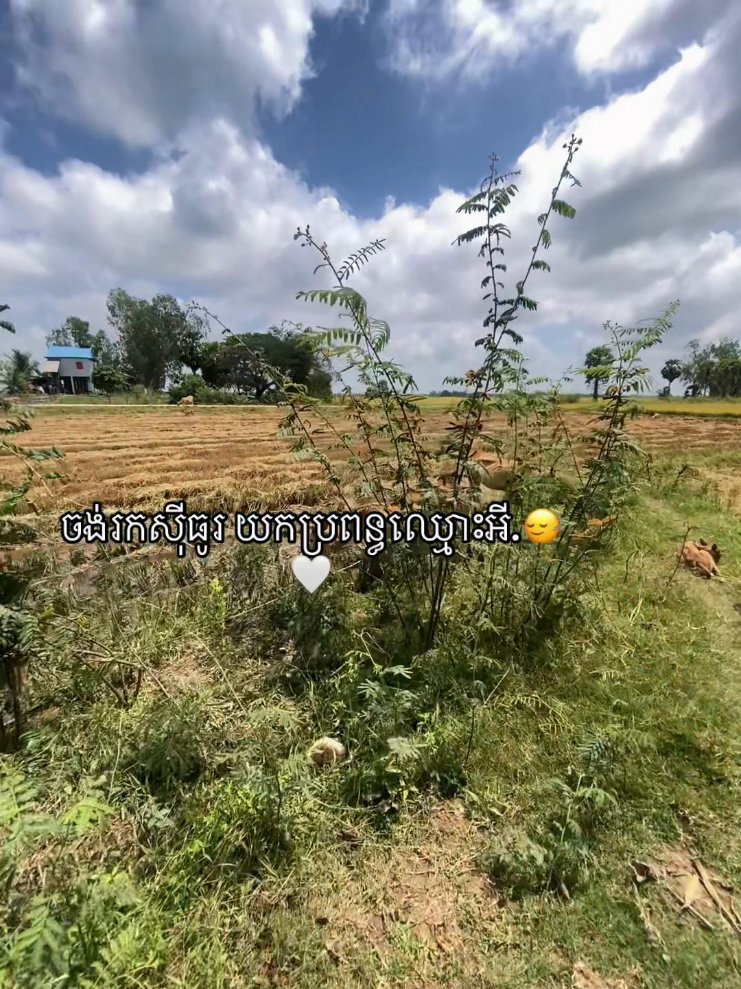 @Sak-សាក់👑❤️