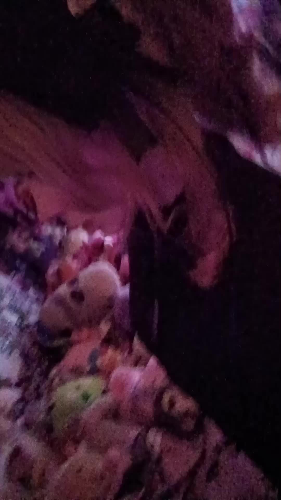 @LilGayBoi45
