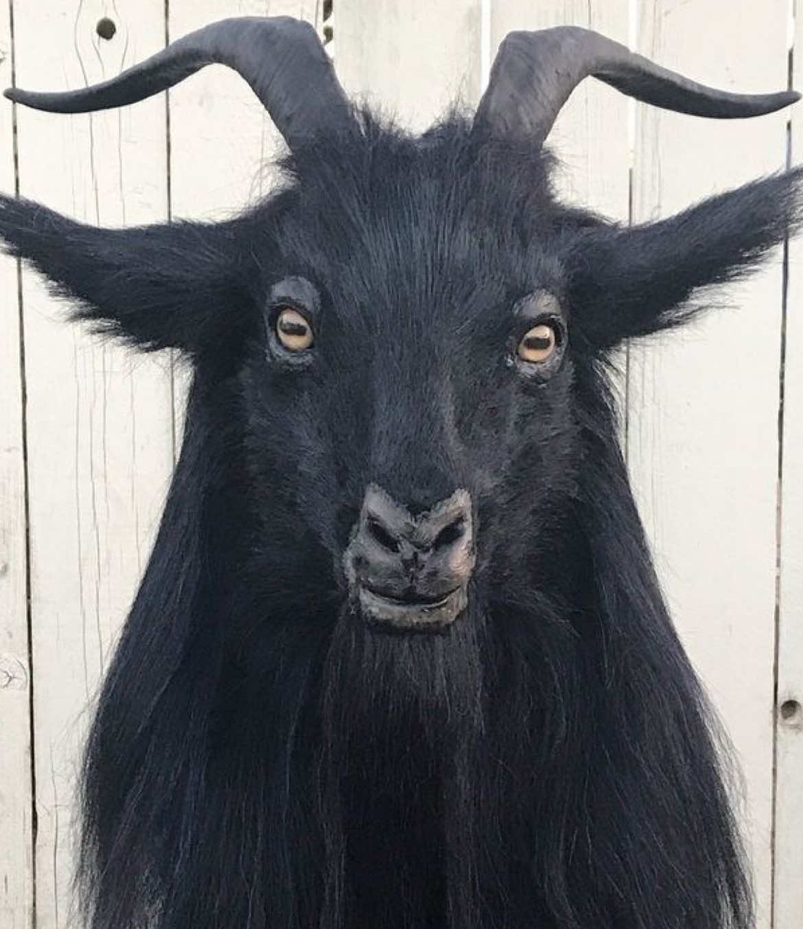 @🕸️