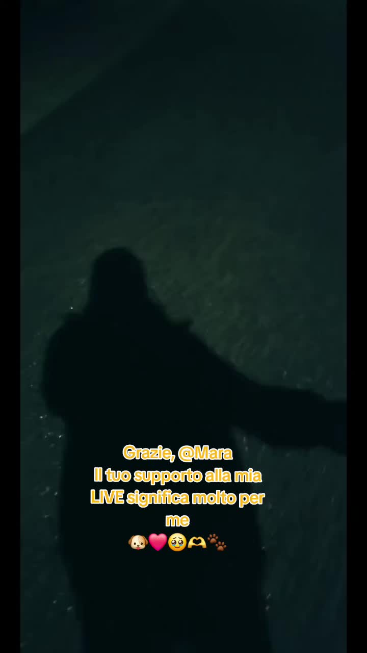 @Ringodance_Official