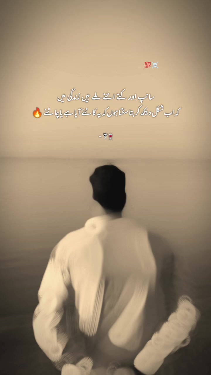 @آخروٹ🚩🫡