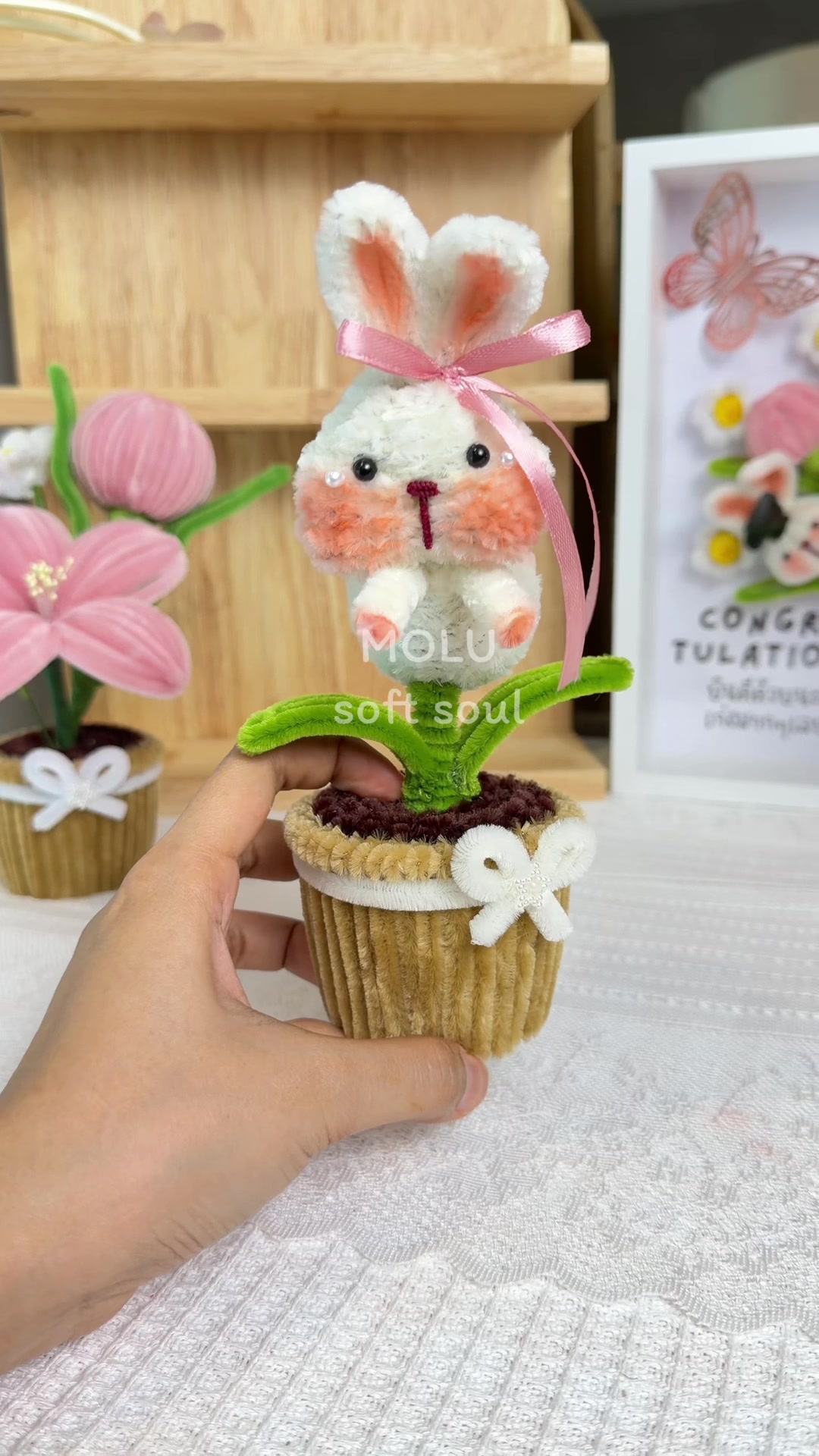 @MOLU soft soul