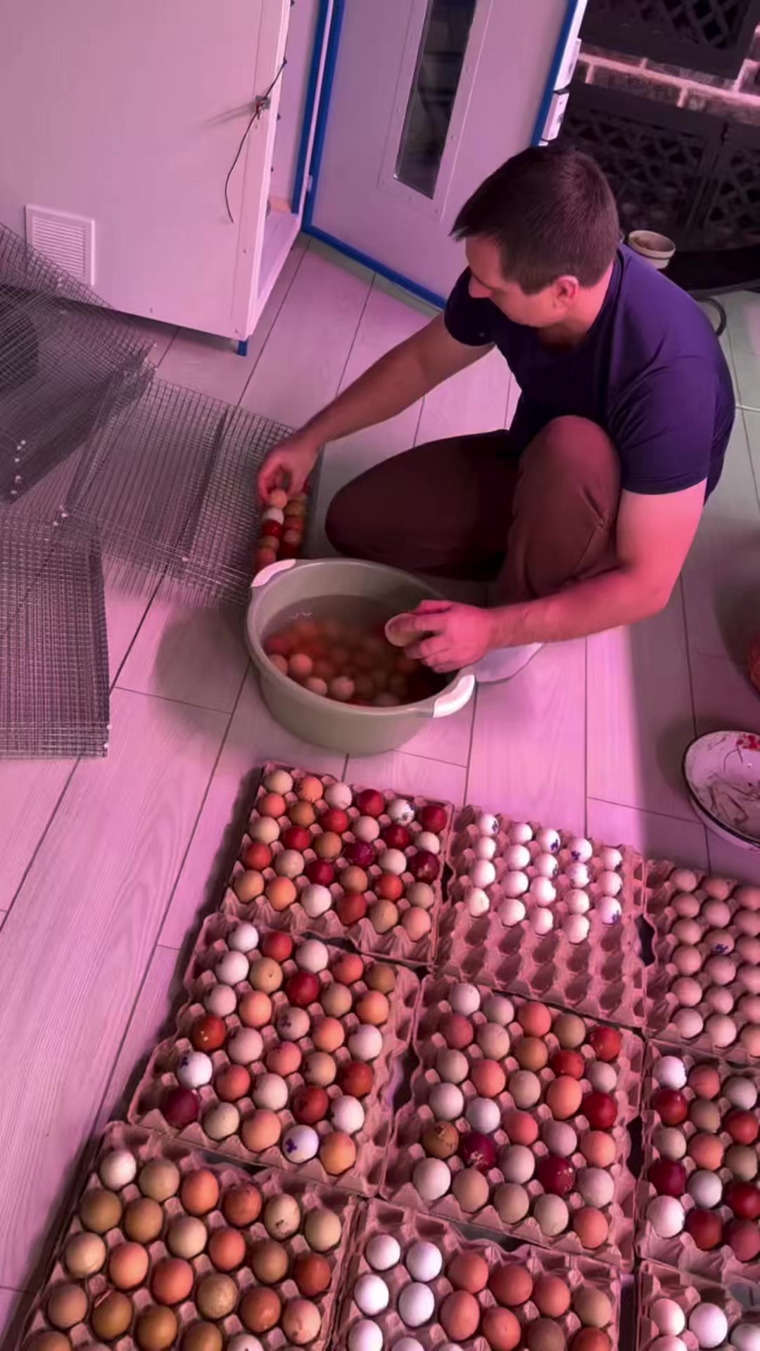 @petrovchankalerka