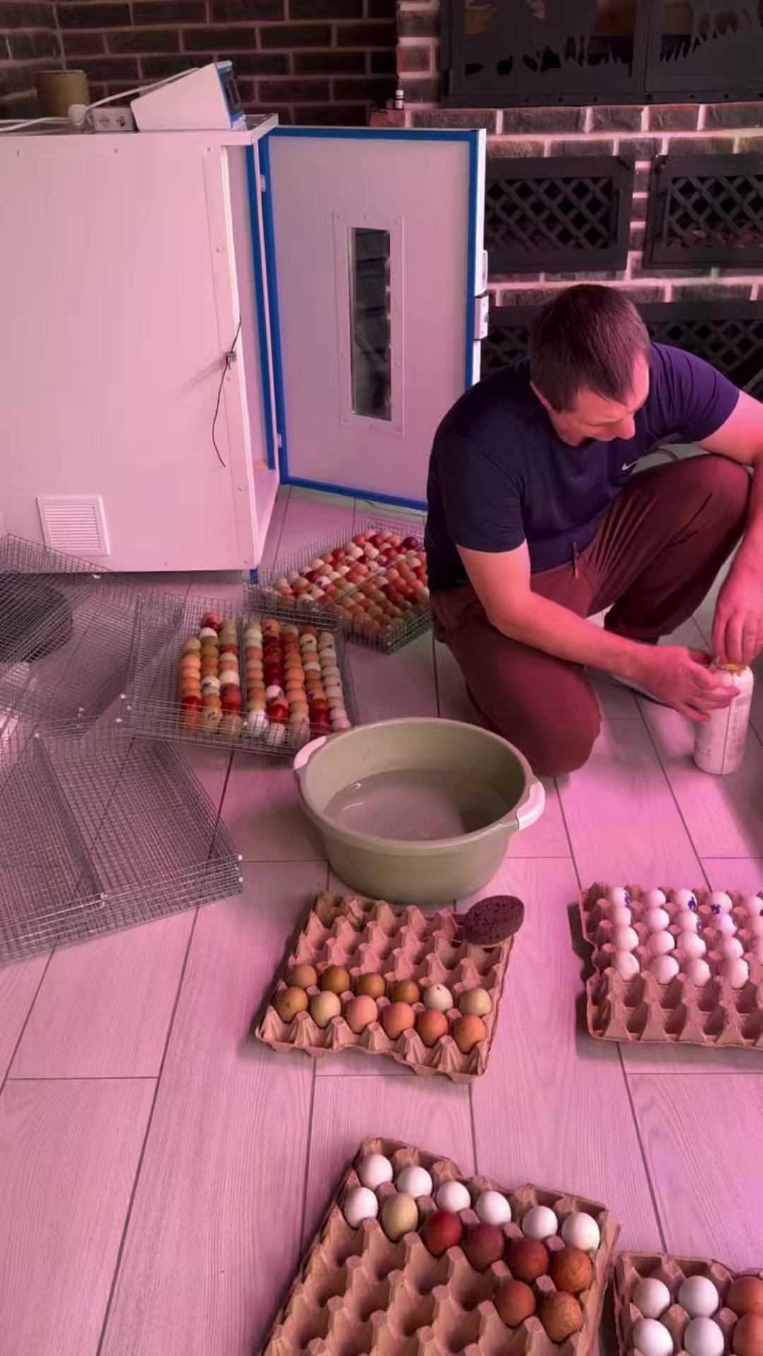 @petrovchankalerka