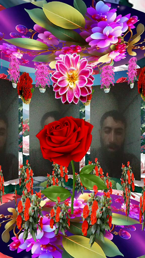 @Muqriat Khan