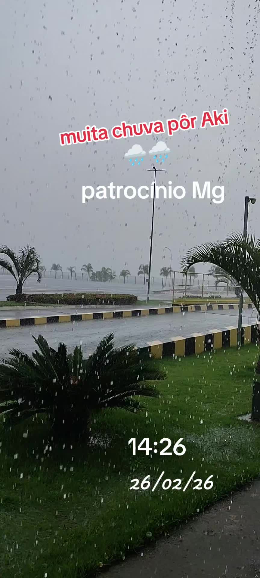 @aparecidamachado303