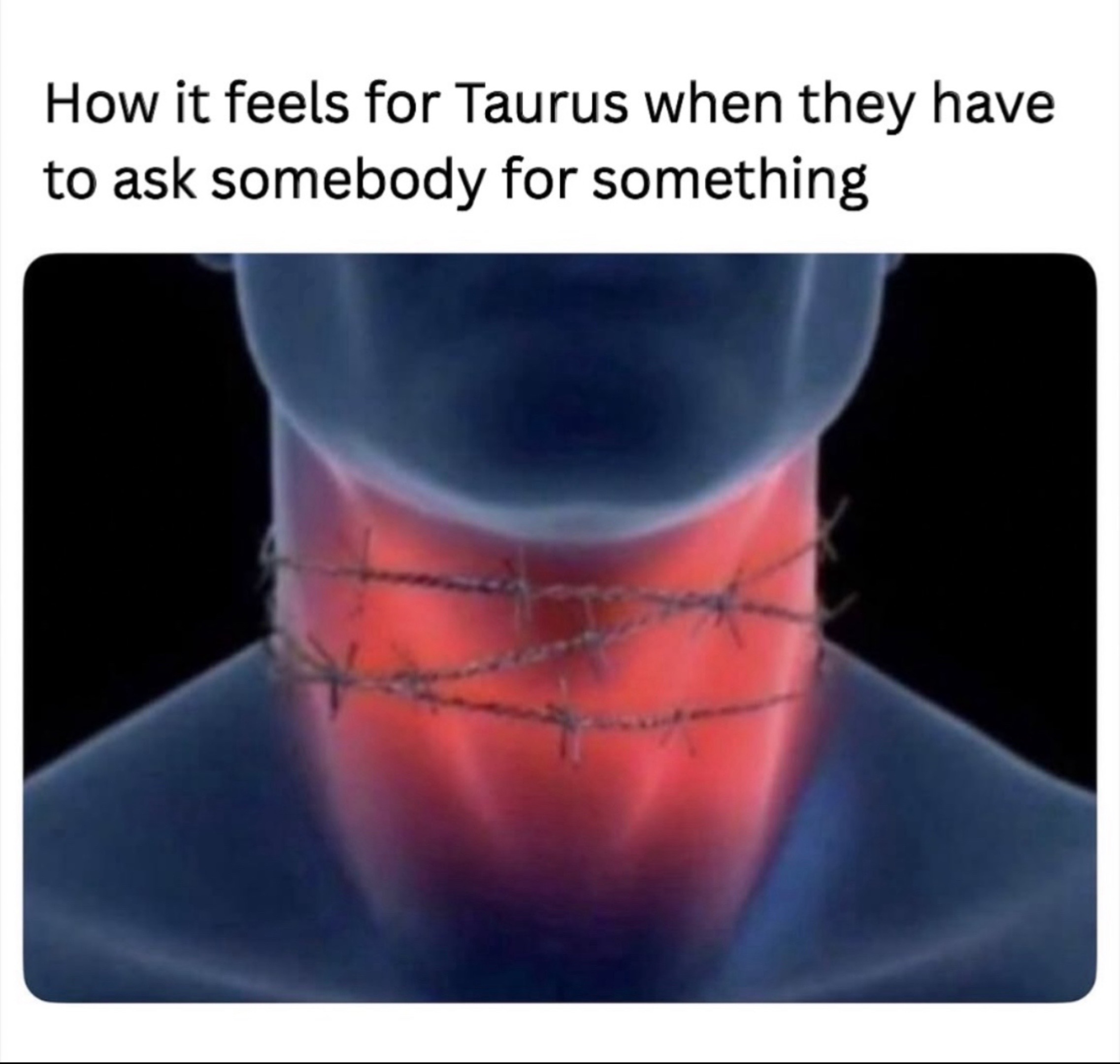 @StubbornTaurus