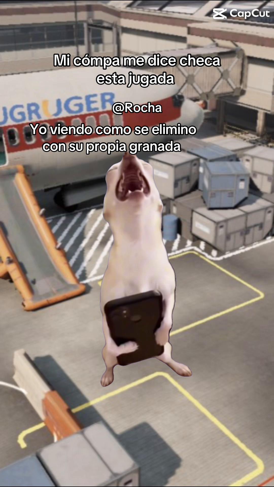 @ROCHA