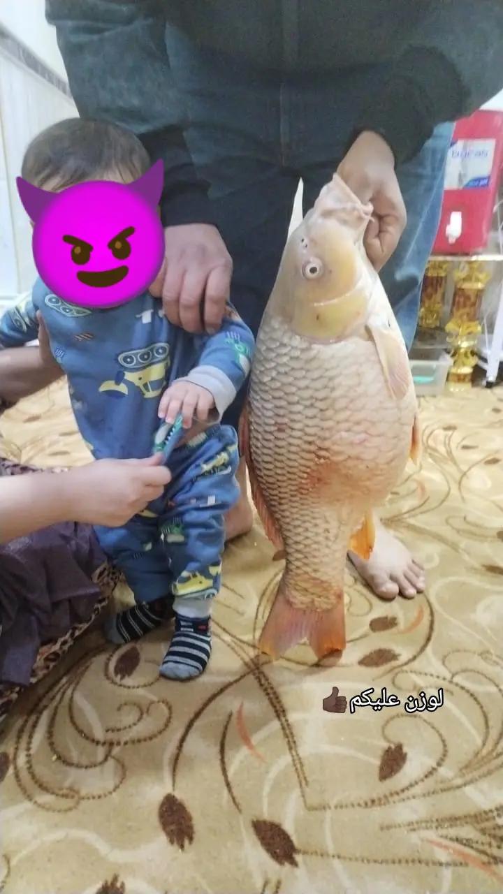 @حمودي الحجي