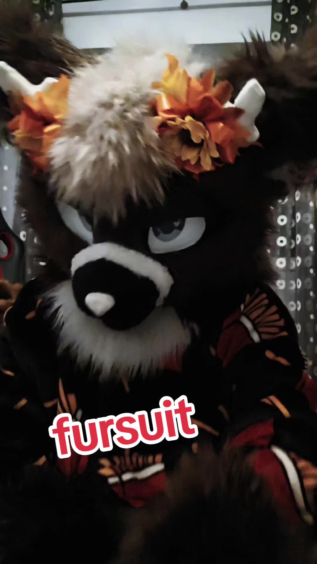 @🦌🇷🇴Yara_wolf🇷🇴🦌
