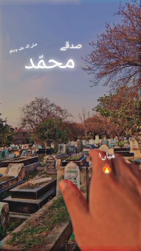 @✨Bin HussaiN 🐊