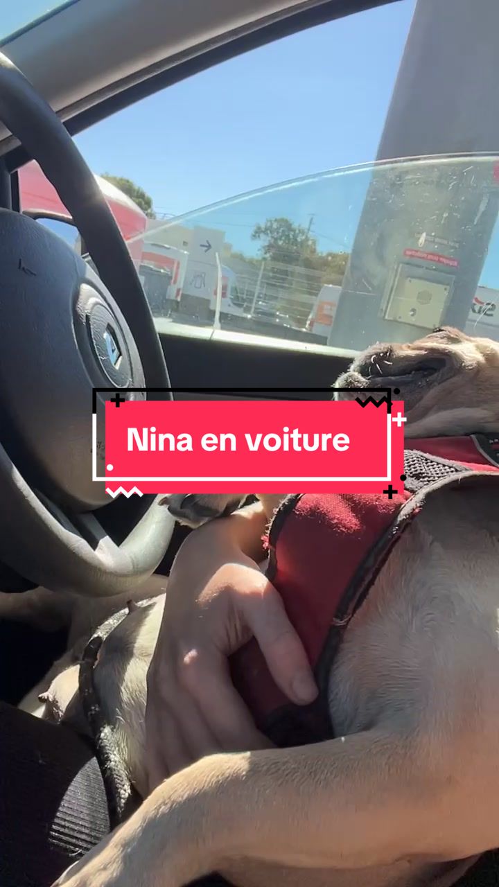 @les aventures de Nina