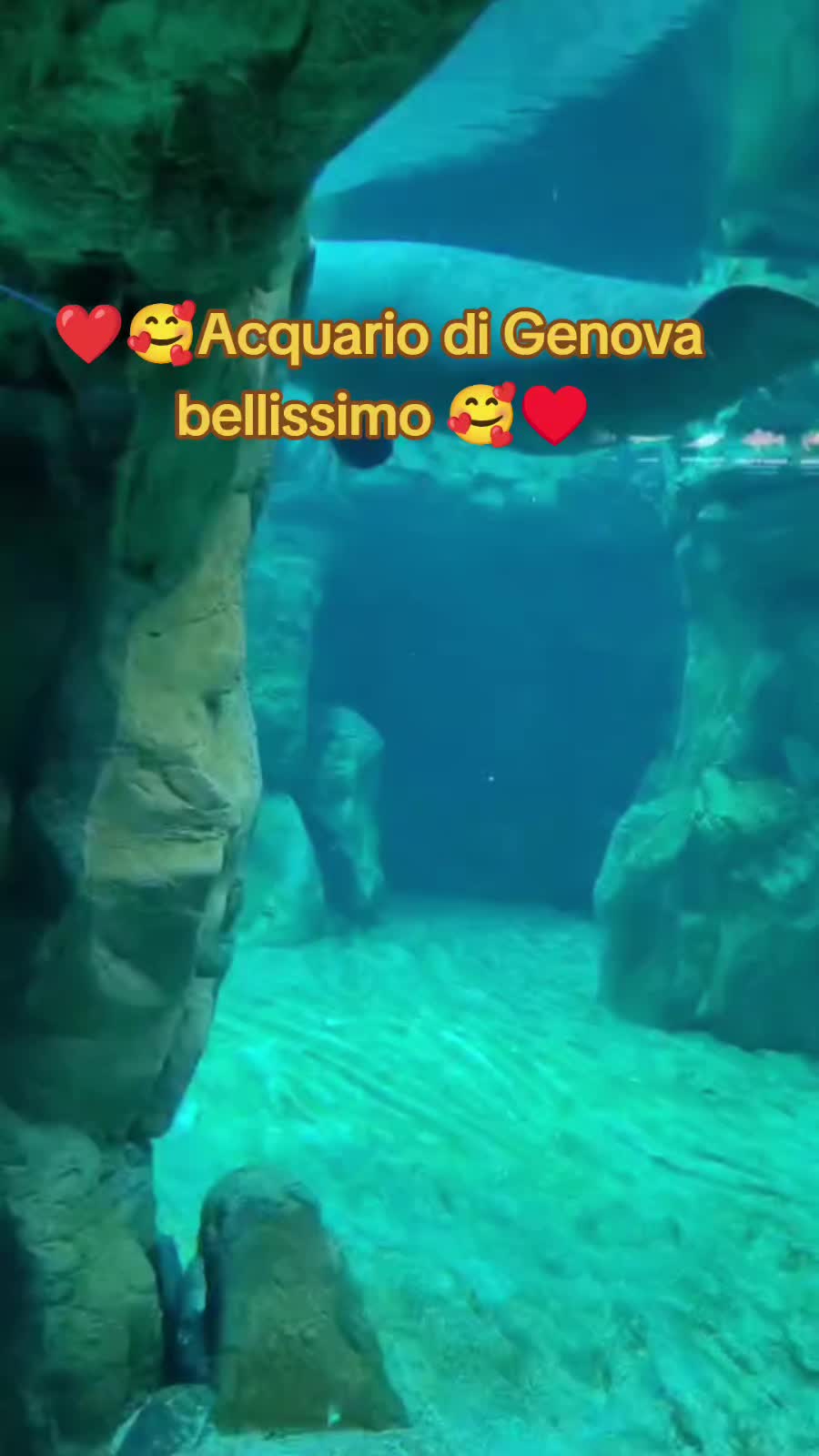 @ancaraluka643
