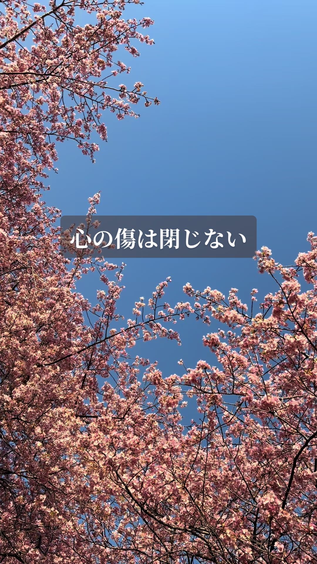 @世の中に絶望している君へ
