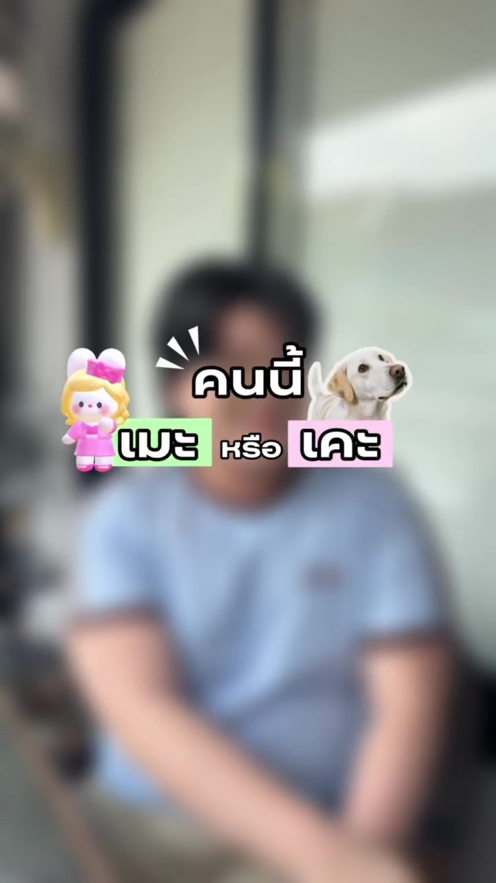 @Suitcube Career