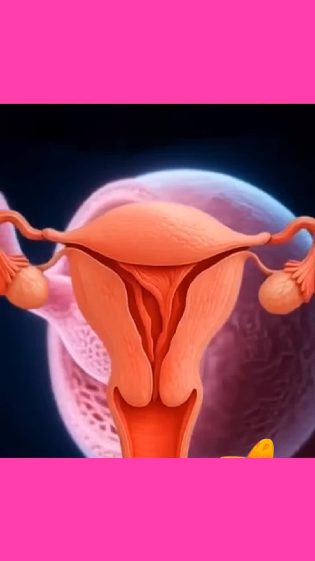 @Pregnancy Tips Daily