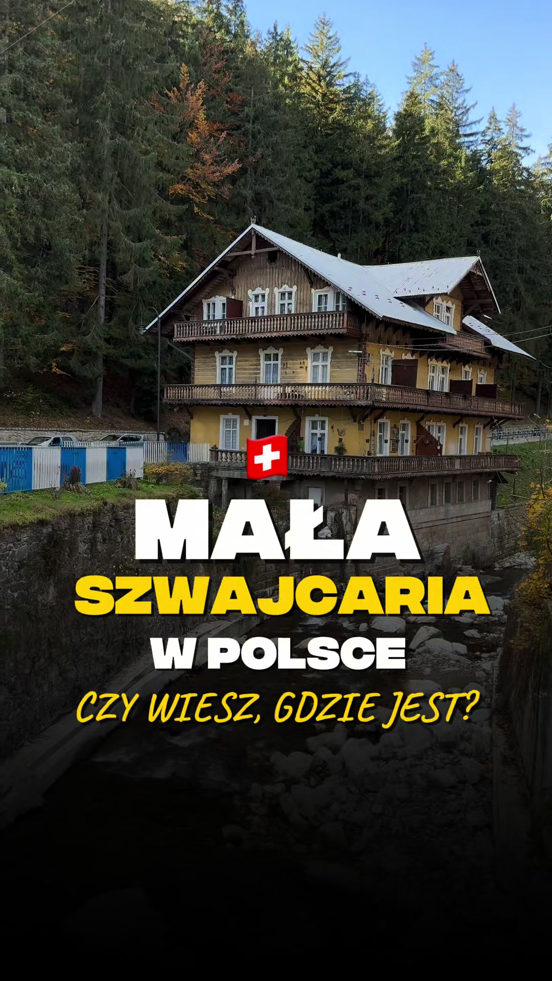 @HASAJĄCE ZAJĄCE
