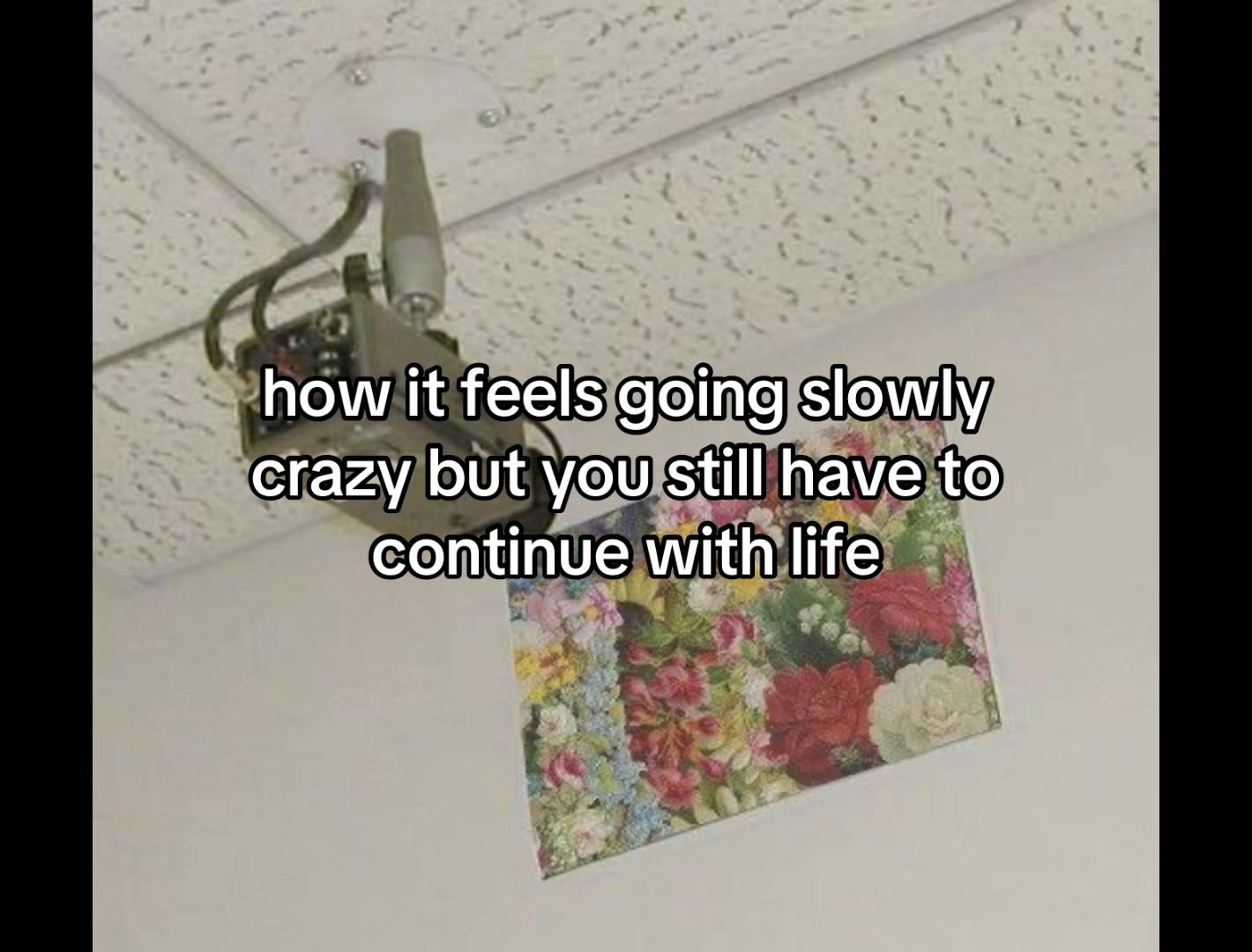 @crims