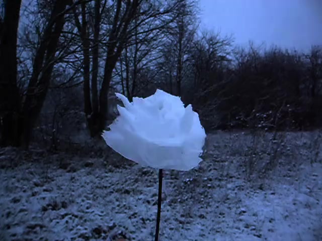 @кирилл