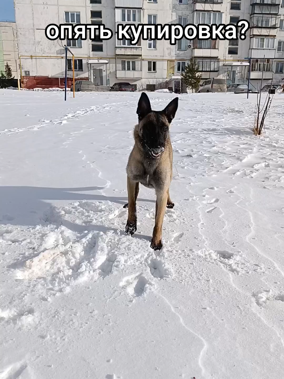 @⚡Кита from авито⚡