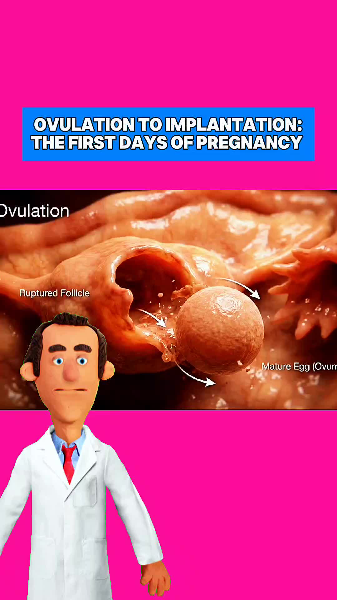 @Pregnancy Tips Daily