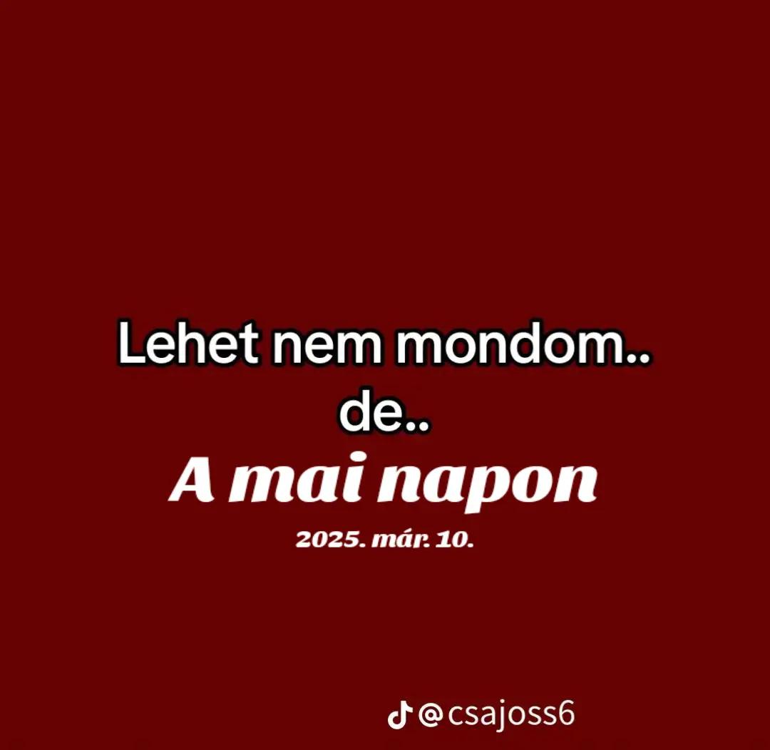 @nikolett_14