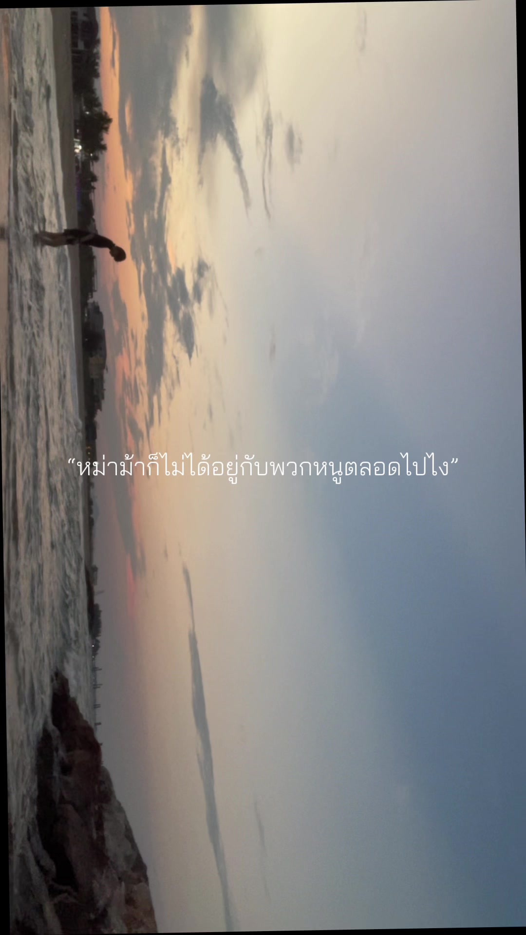 @มิวซังกลิ่นนมผง