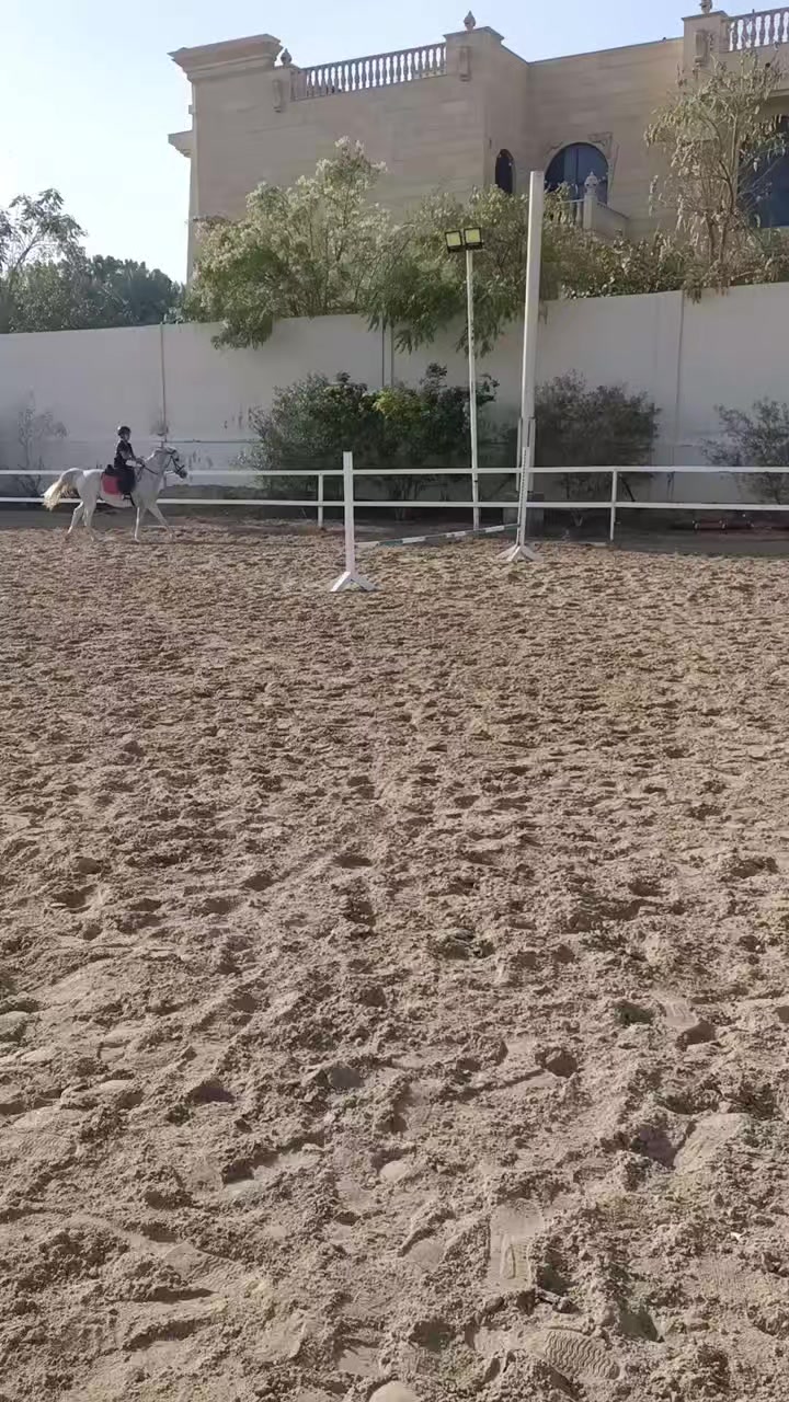 @Bassant El Dowaik