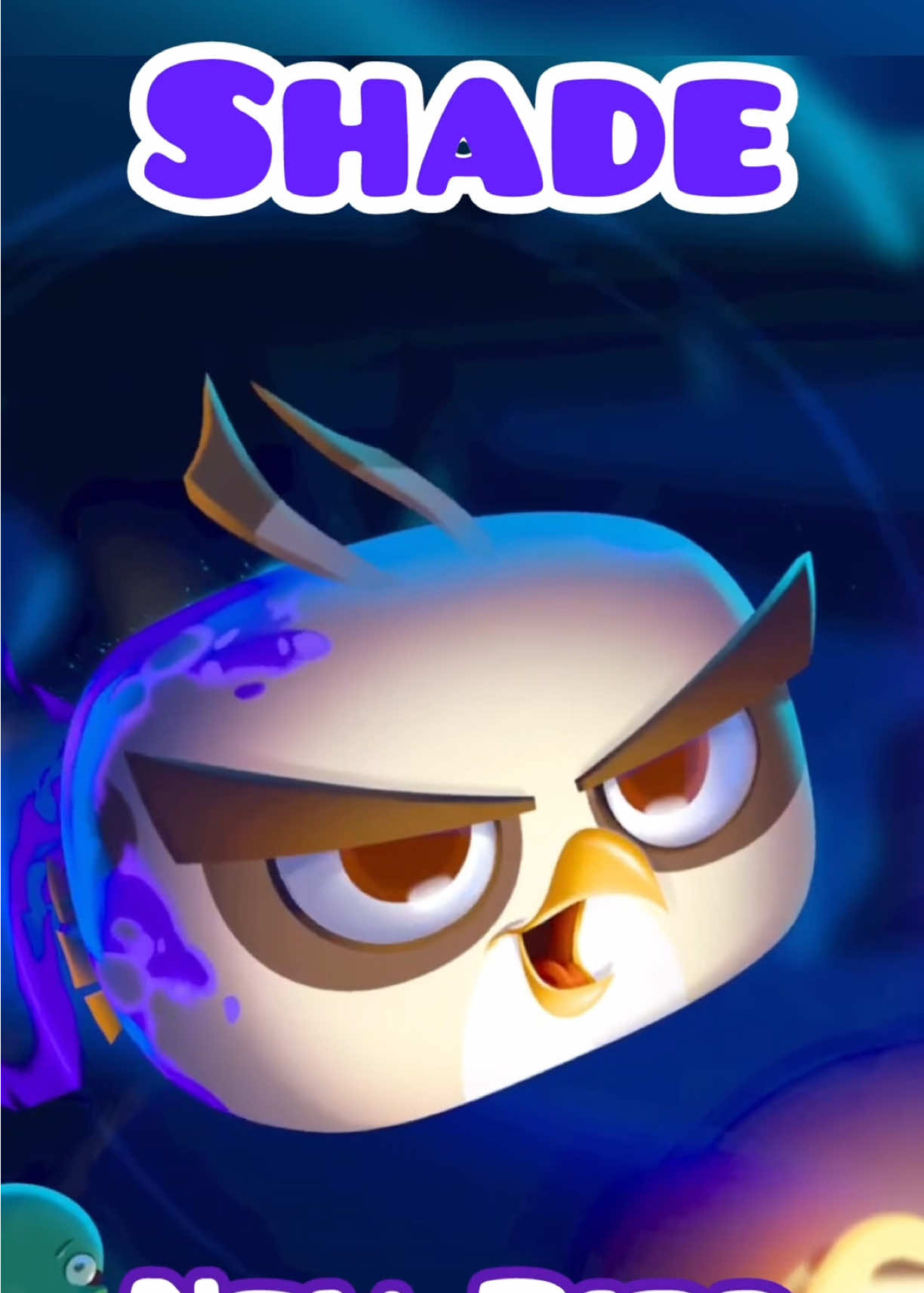 @Angry Birds Nostalgia