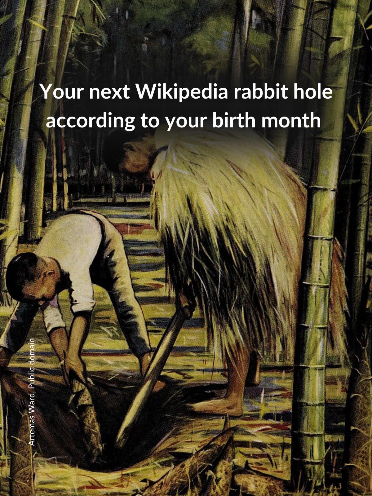 @Wikipedia