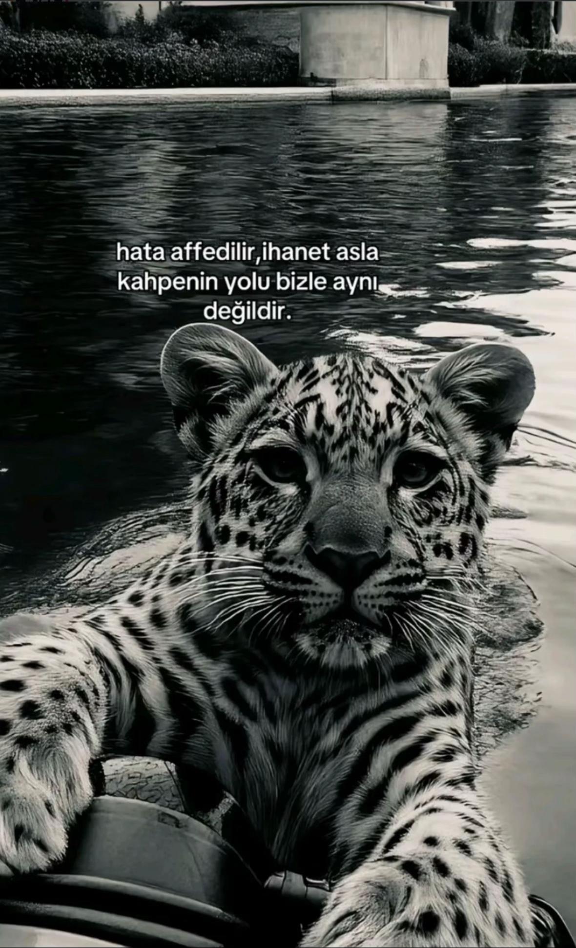@Hakan Sarıhan