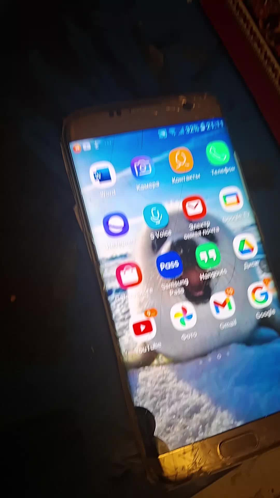 @ХОМЯЧОК