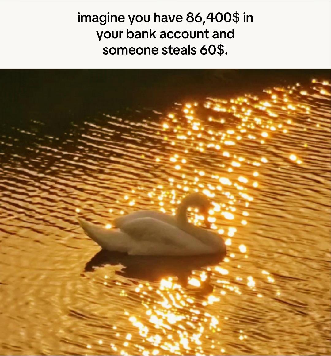 @🫧