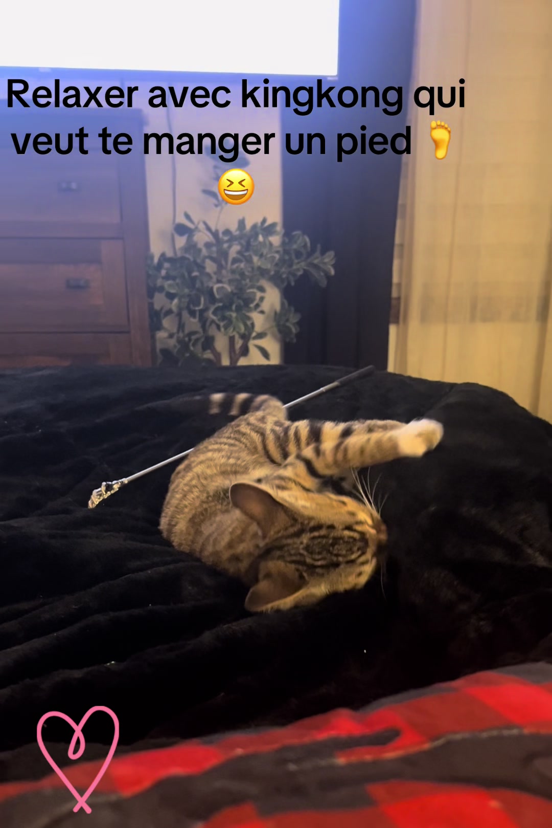 @Linda